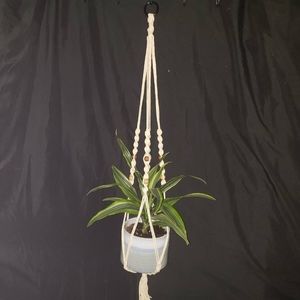 Handmade Macrame Plant Hanger